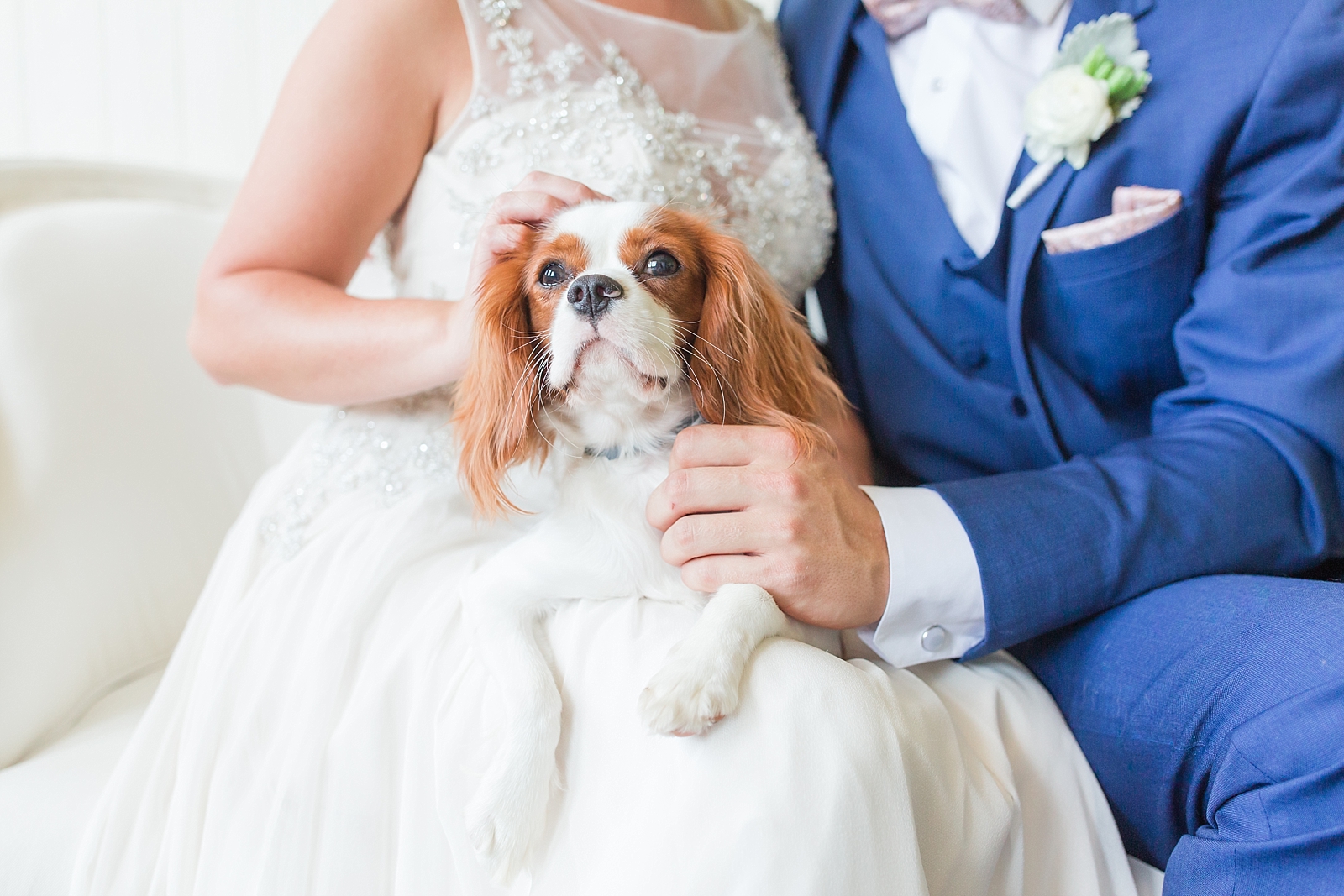 Atlanta Georgia Wedding Bride and Groom with Puppy on lap Photo