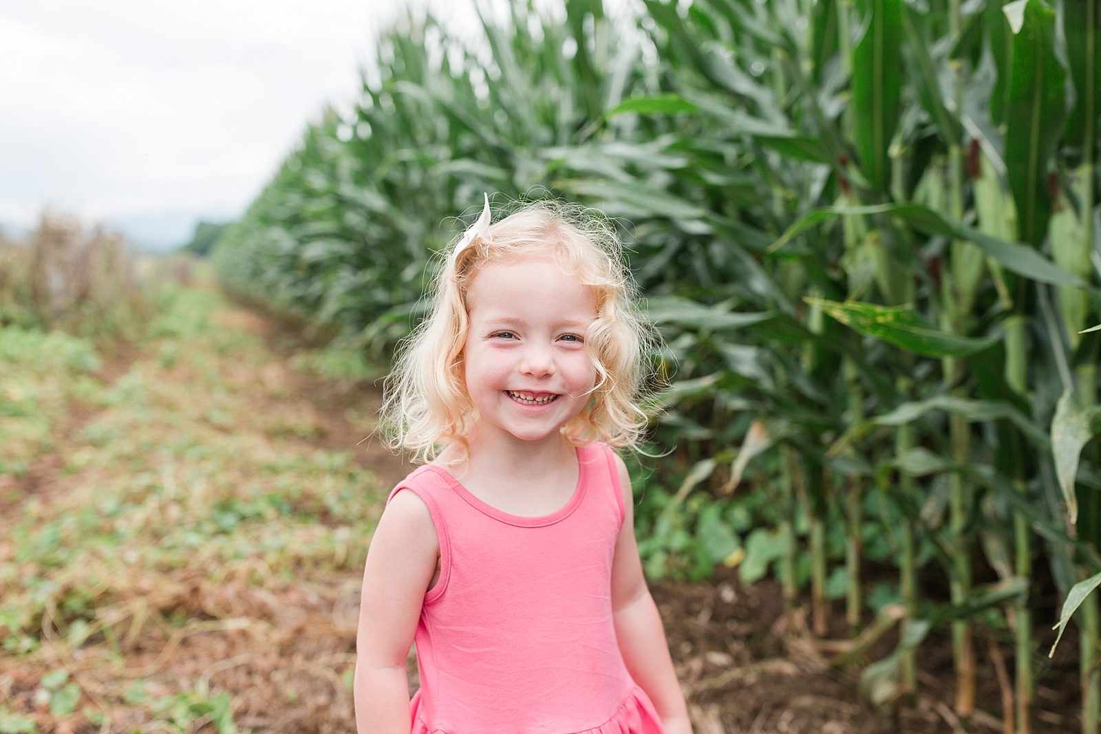 Little girl smiling in a cornfield photo