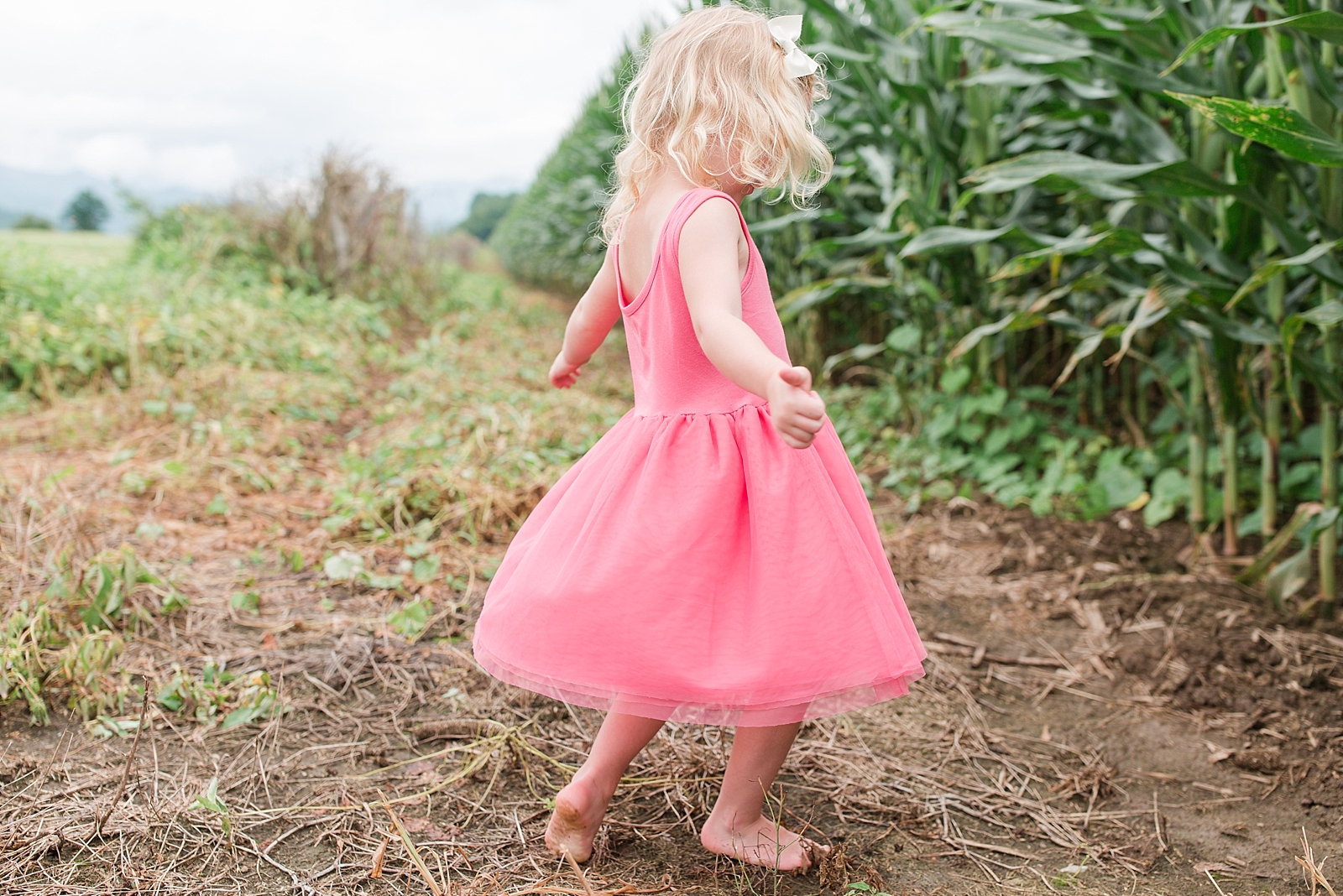 Little girl twirling in a cornfield barefoot photo