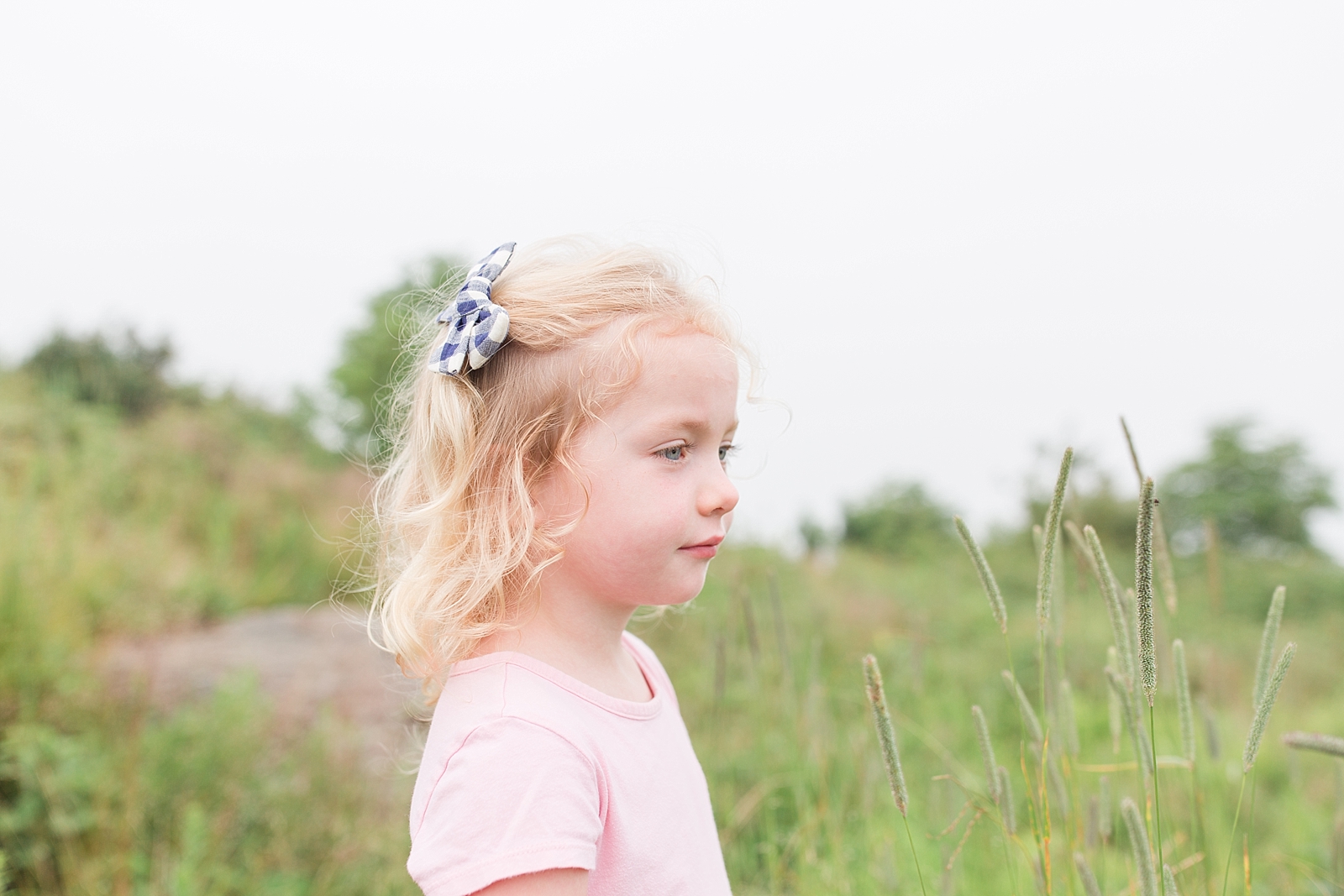 Black Balsam Knob Little girl in tall grass with blue hair bow and pink dress Photo