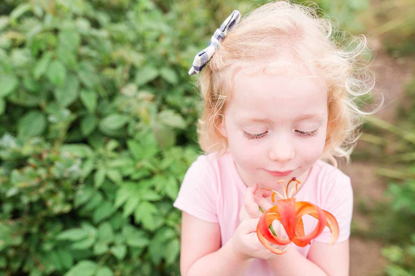 Black Balsam Knob little girl smelling an orange wild flower Photo