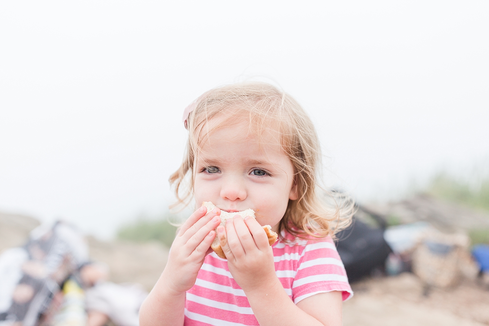 Black Balsam Knob little girl in a pink striped dress eating a sandwich Photo