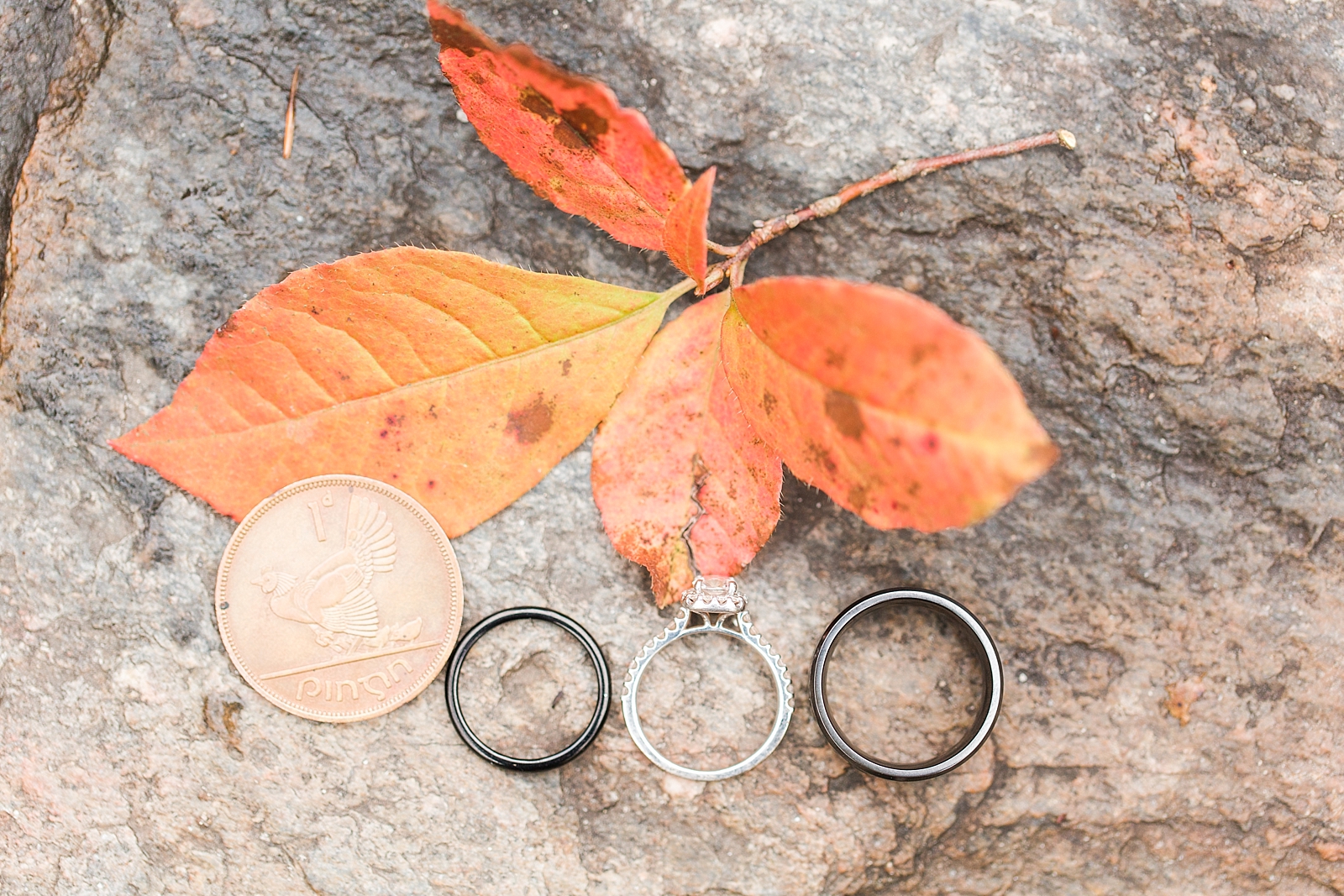 Asheville Botanical Gardens Elopement Rings with Red Leaf and Irish Coin Photo
