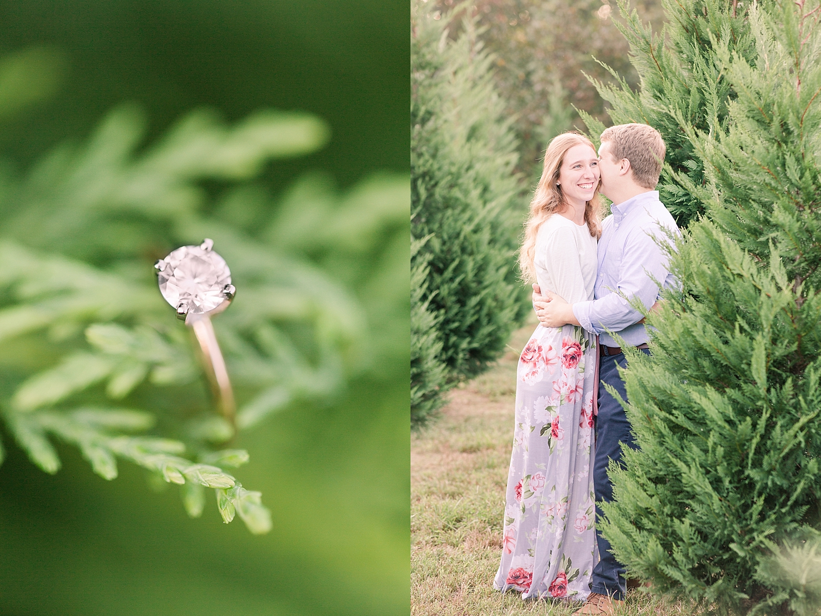 Charlotte Engagement Ring detail on Christmas tree branch and couple hugging among Christmas trees Photos