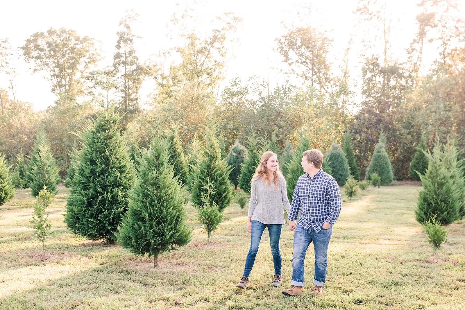 Charlotte Engagement couple holding hands walking through Christmas Trees Photo