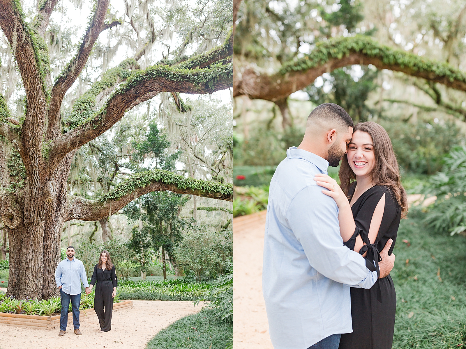 St. Augustine Engagement Couple holding hands and snuggling under big oak tree Photos