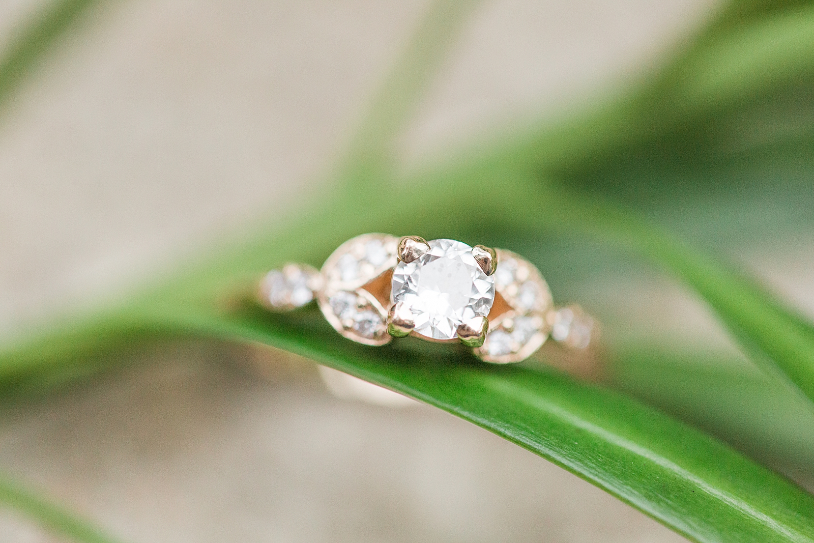 St. Augustine Engagement Ring detail Photo