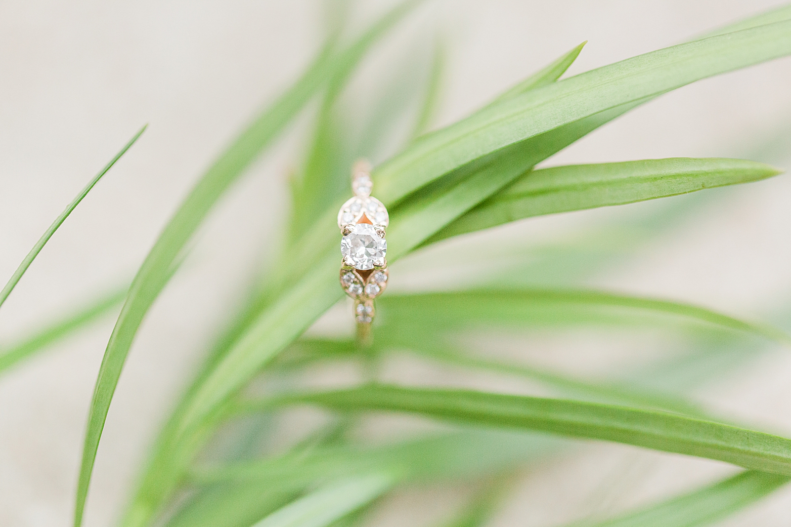 St. Augustine Engagement Ring Detail Photo