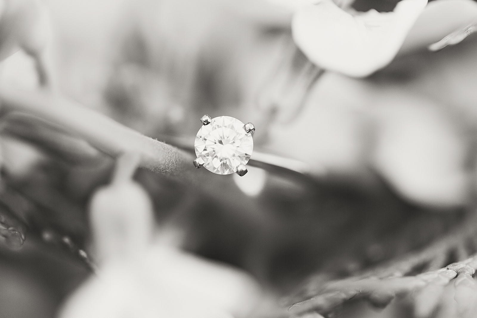 Charlotte Bridal Session black and white of engagement ring detail Photo