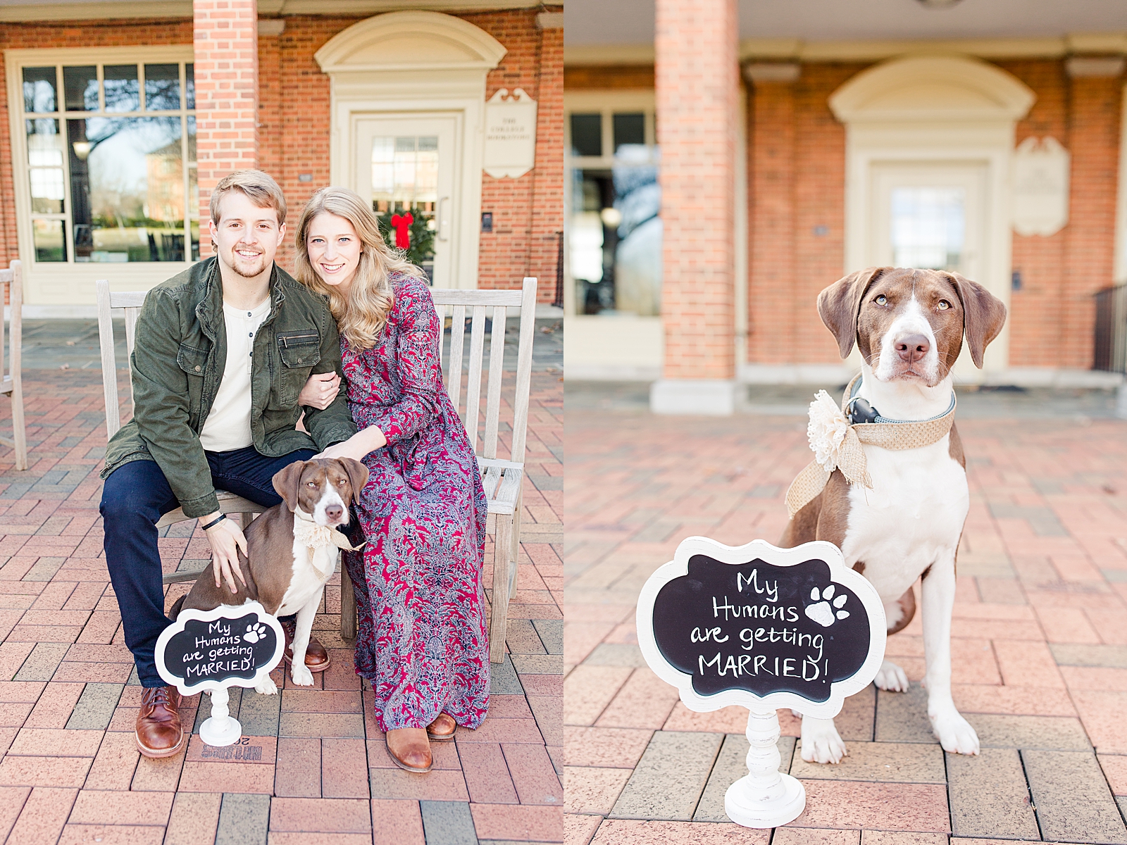 Winston-Salem Engagement Session Couple with dog and dog with sign that says my humans are getting married Photos