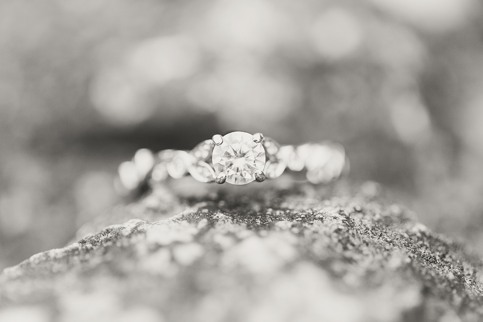 Ocoee River Engagement Session black and white of ring on rocks Photo