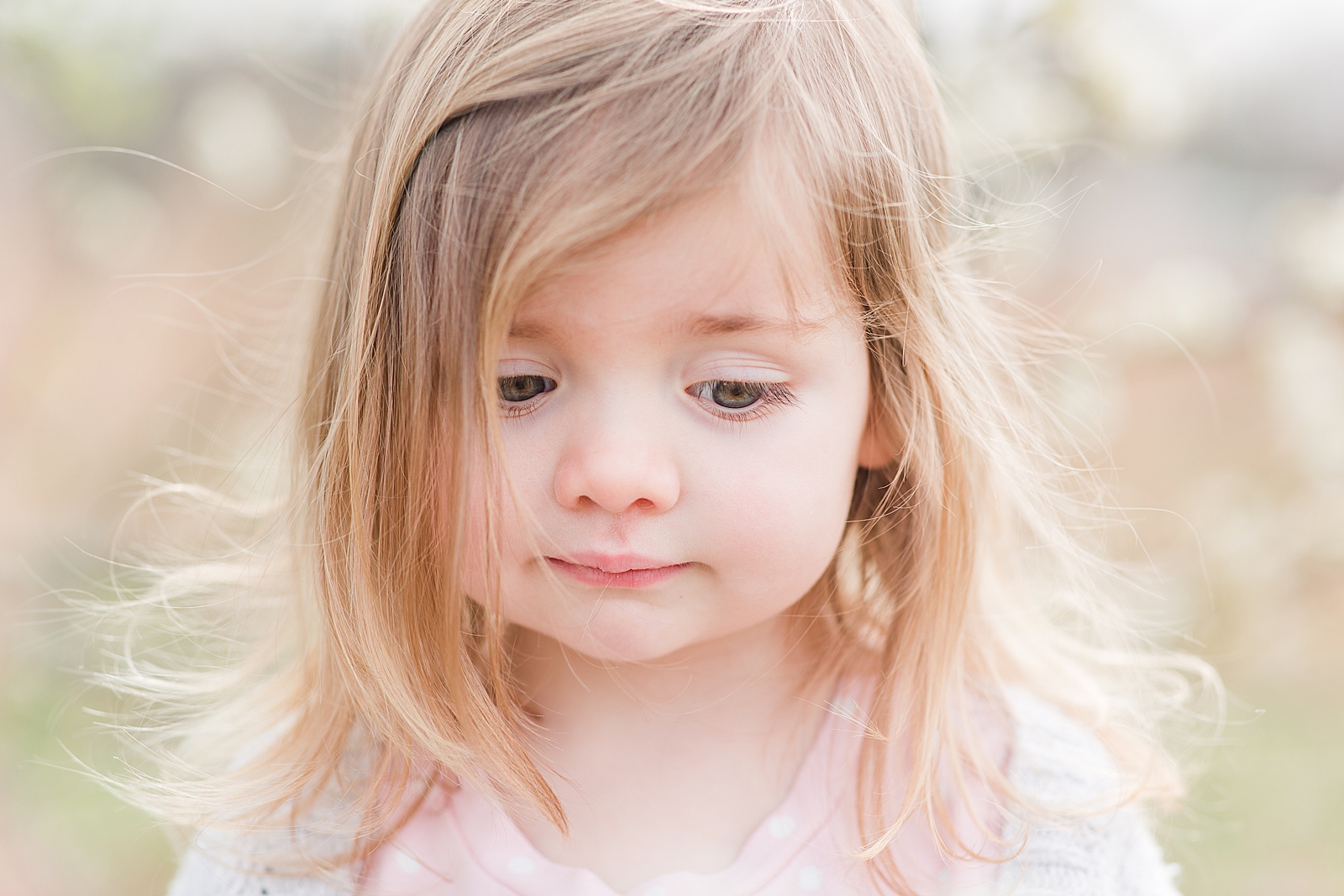 Asheville Photographer's Family little girl with hair blowing in the wind Photo