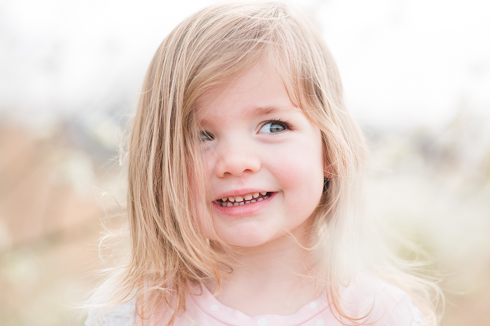 Asheville Photographer's Family little girl with hair in face smiling Photo