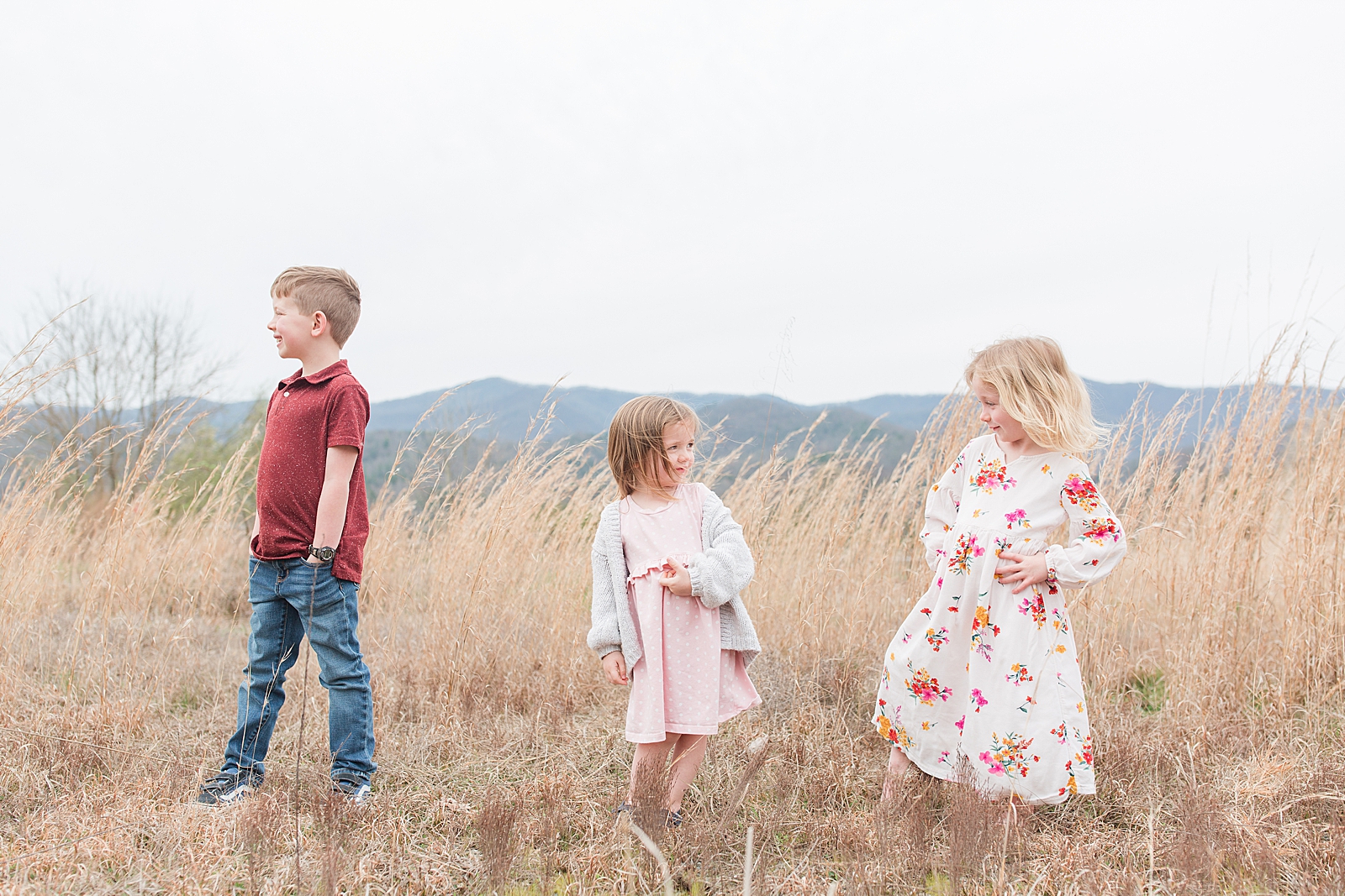Asheville Photographers Family Three Kids in Field of tall yellow grass with mountains in the background Photo 