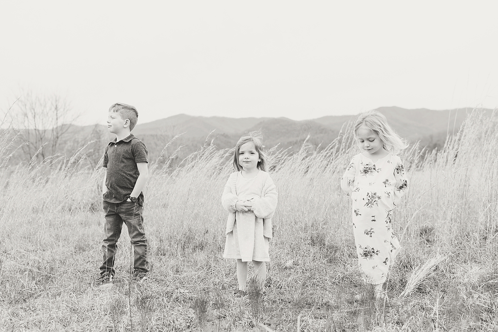 Asheville Photographer's Family Black and White of brother with little sisters in tall grass photo