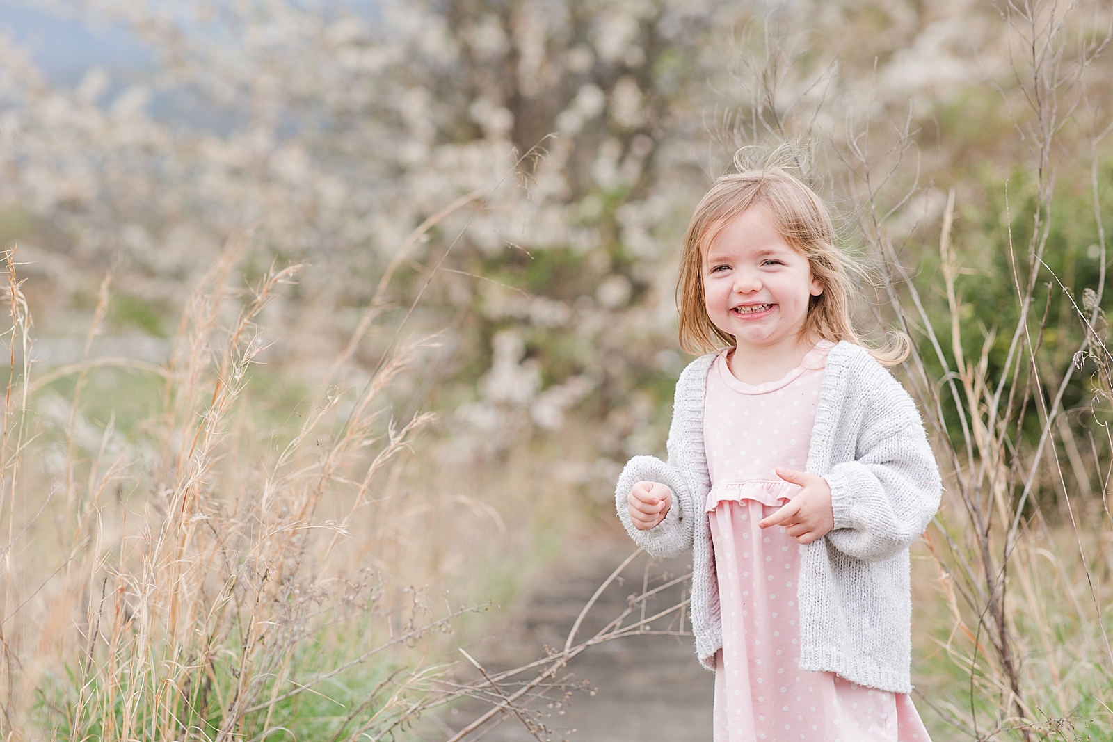 Asheville Photographer's Family little girl giggling on sidewalk in tall grass Photo