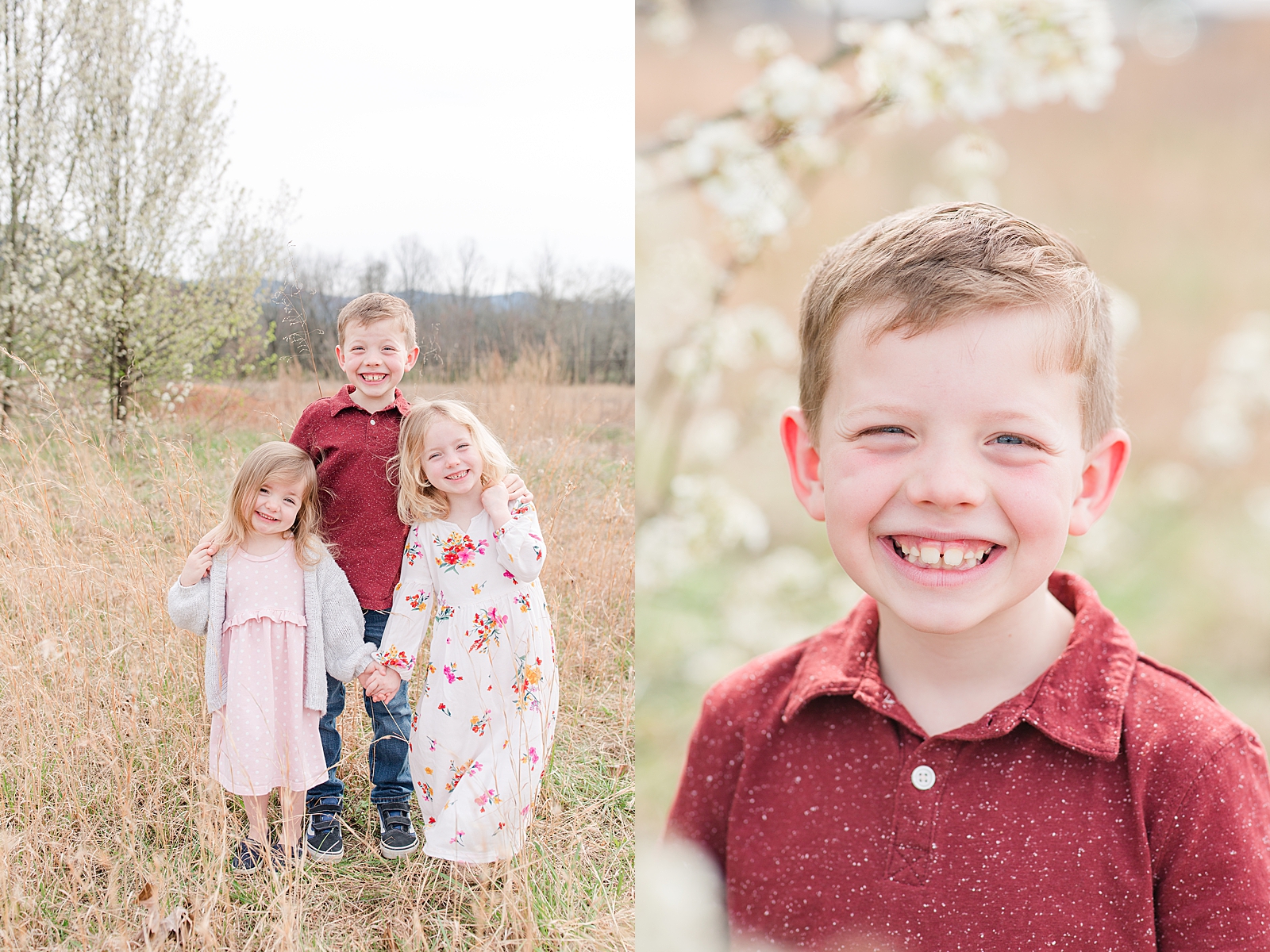 Asheville Photographer's Family Brother and two sisters smiling at camera and little boy smiling at camera Photos