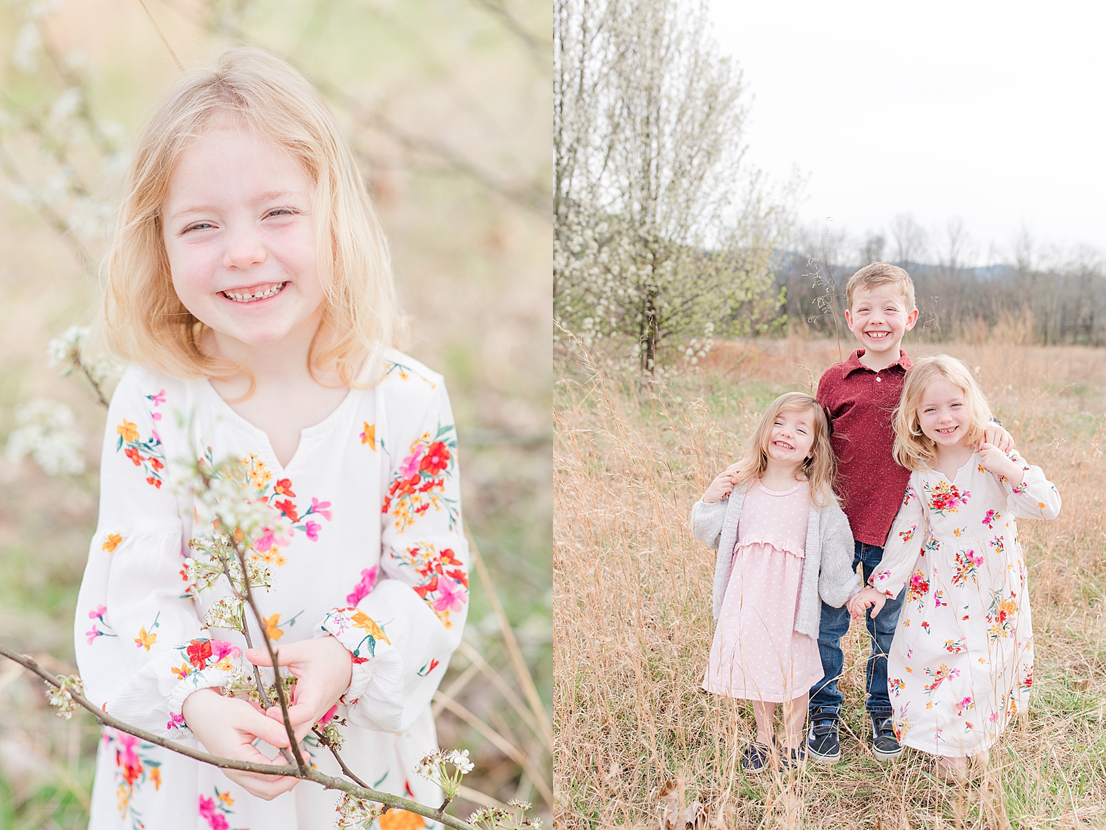 Asheville Photographer's Family Little girl smiling in flower dress and brother with two sisters laughing Photos
