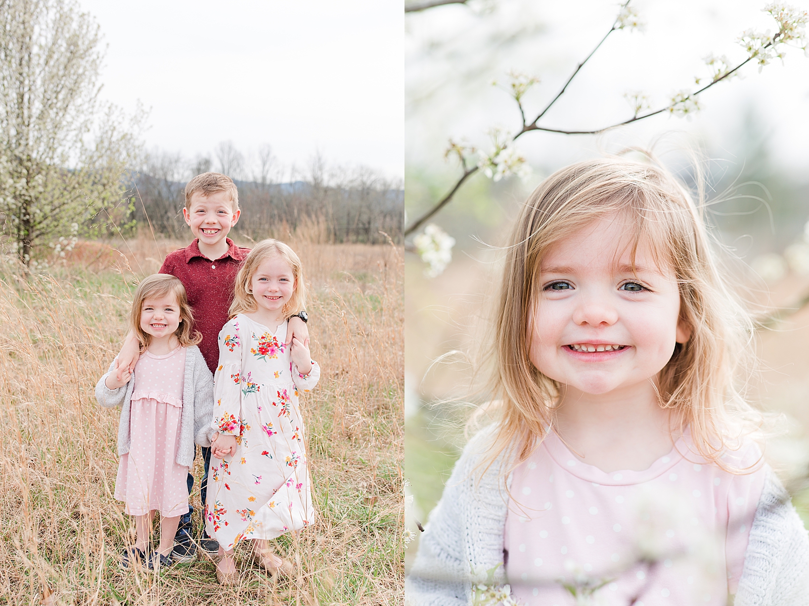 Asheville Photographer's Family brother with two sisters and little girl in tree smiling Photos