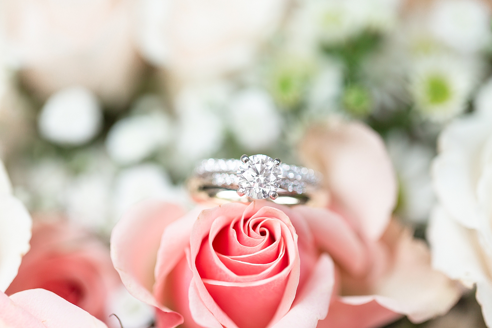 Spring Hawkesdene Wedding Rings on pink rose Photo