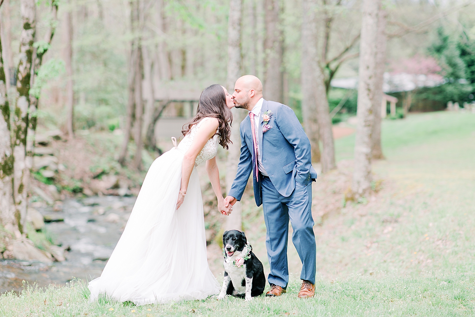 Spring Hawkesdene Wedding Bride and Groom kissing with dog in the middle Photo