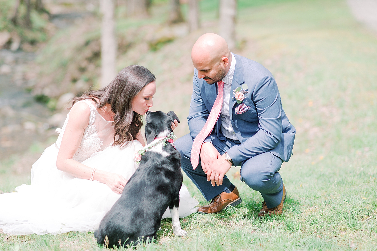 Spring Hawkesdene Wedding Bride and Groom kissing and petting dog Photo