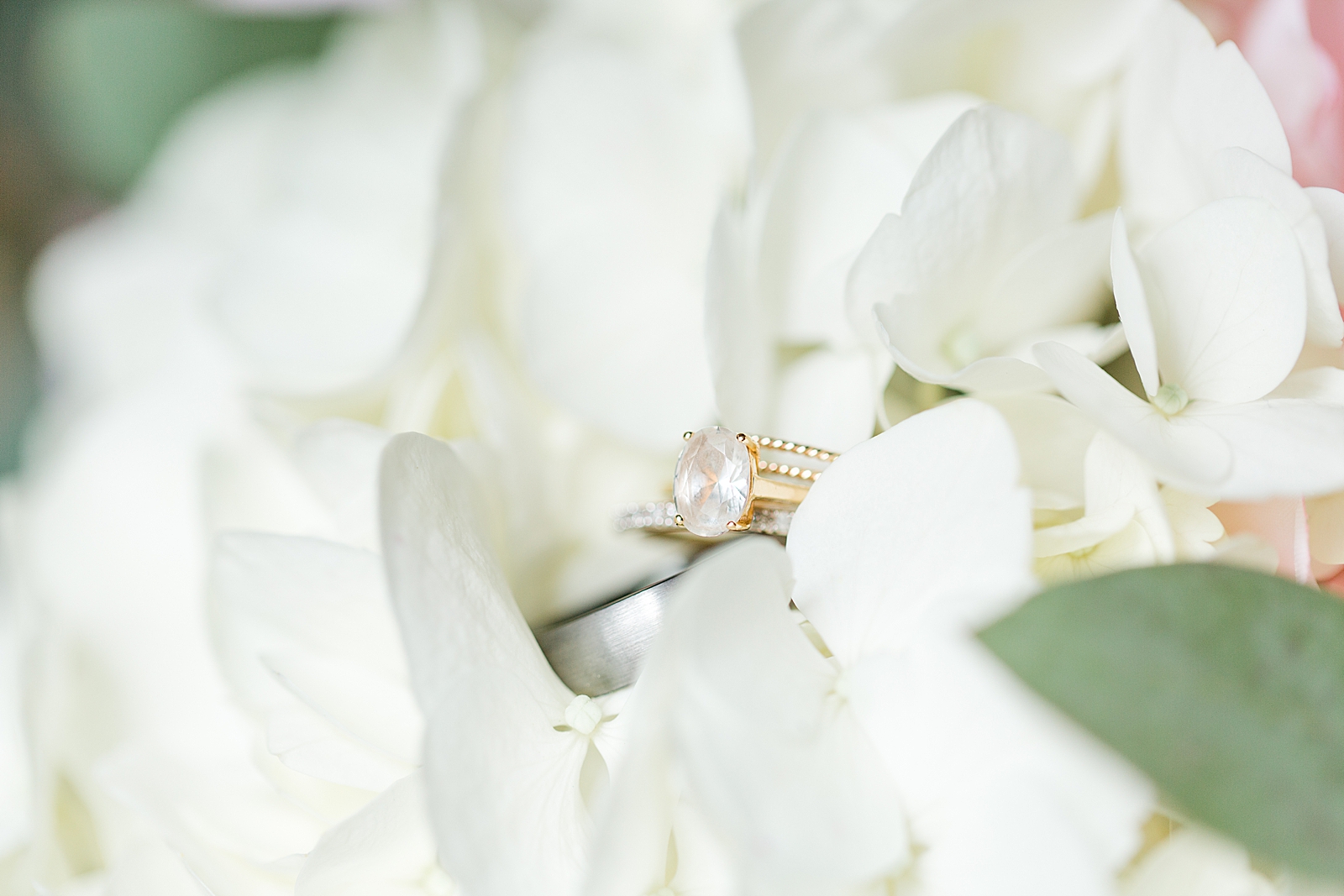 Macedonia Hills Wedding Rings in White Hydrangea Photo