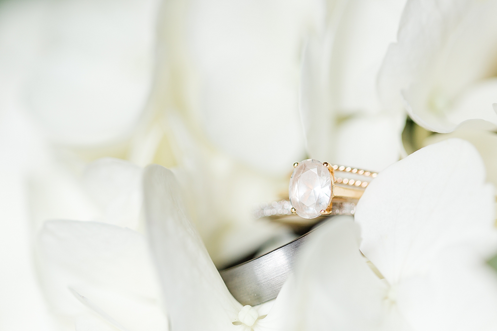 Macedonia Hills Wedding Rings in White Hydrangea Photo