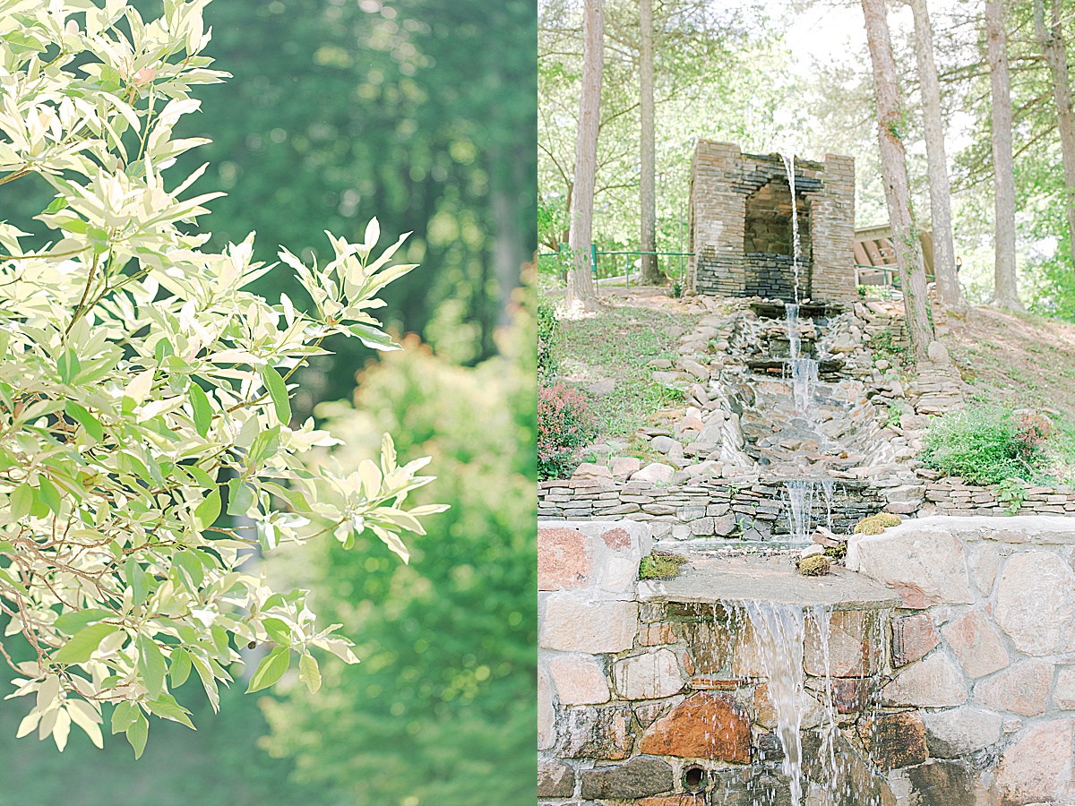 Rustic Spring Mountain Wedding Venue Details Tree and Waterfall Photos