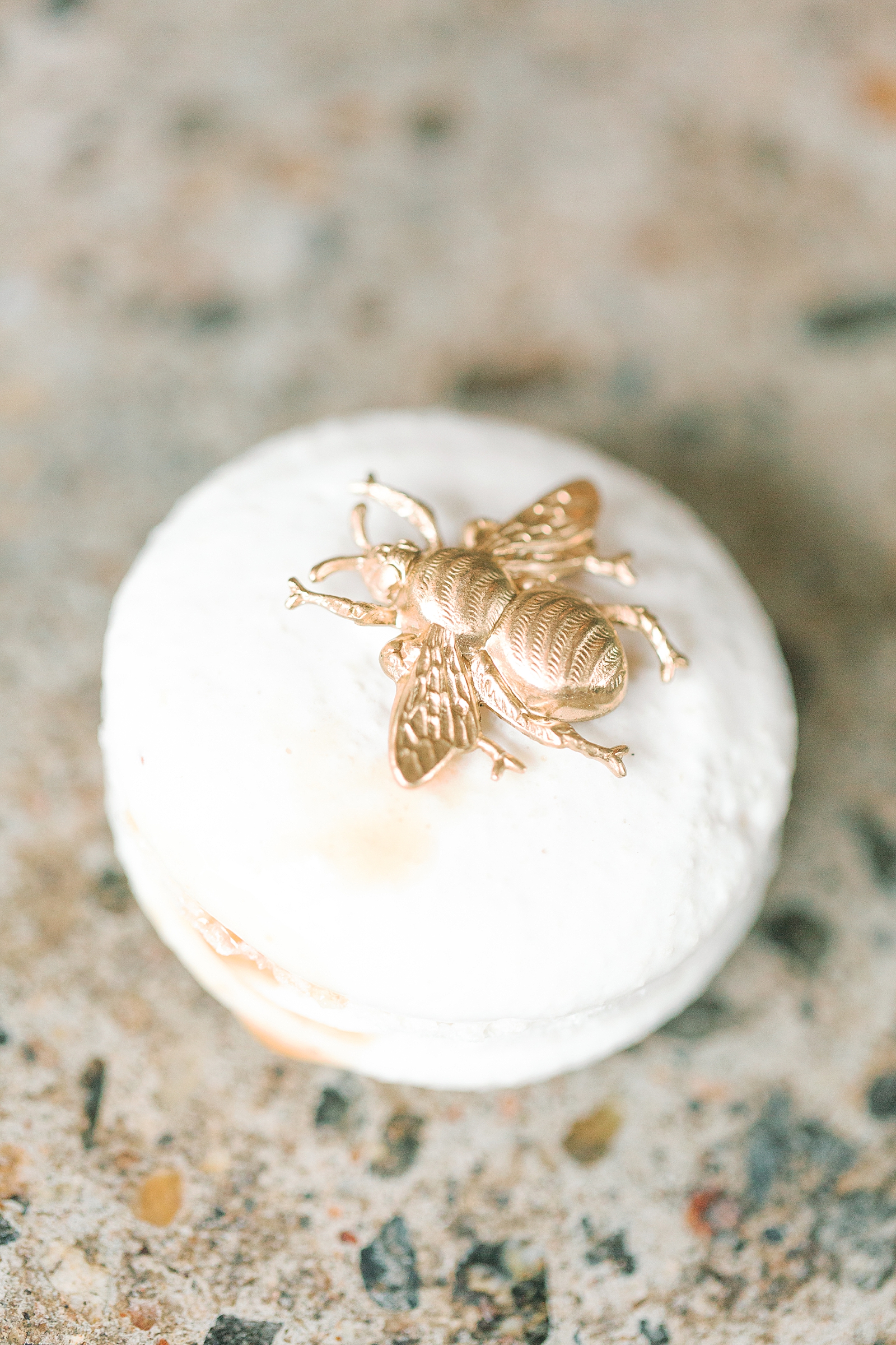 Asheville Wedding Bee pin on white macaroon Photo