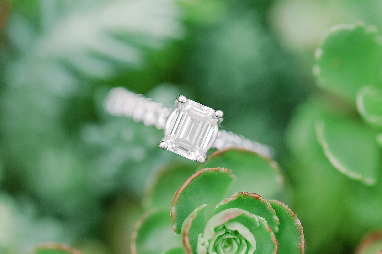 Hackney Warehouse Engagement Session Detail of Ring in Succulent Photo