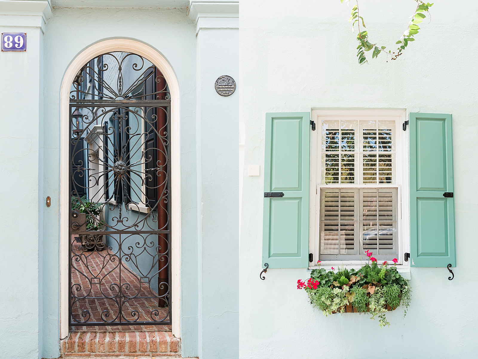 Downtown Charleston Rainbow Row Iron Gated Doorway and Green Window with shutters photos