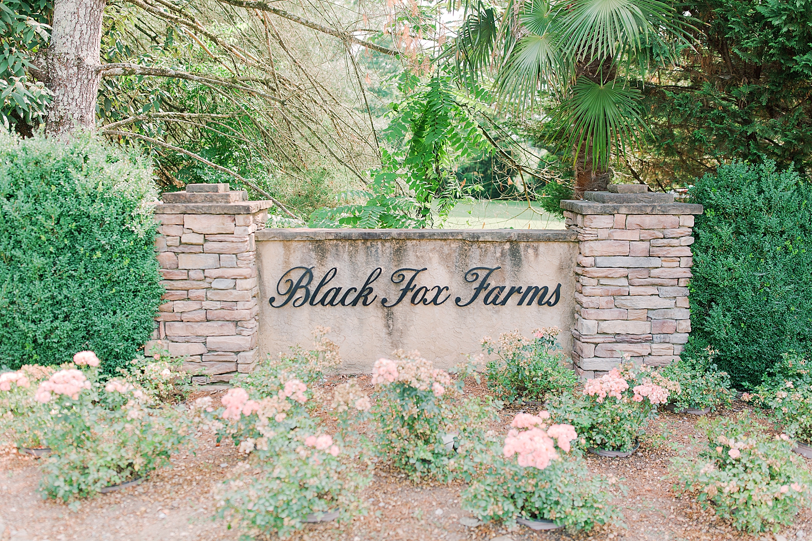 Black Fox Farms Garden Wedding Venue Sign Photo