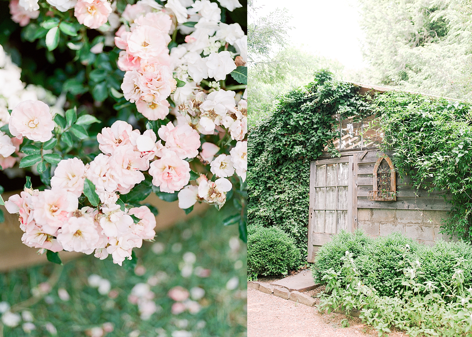 Black Fox Farms Garden Wedding Venue Pink Flower Detail and Shack Photos