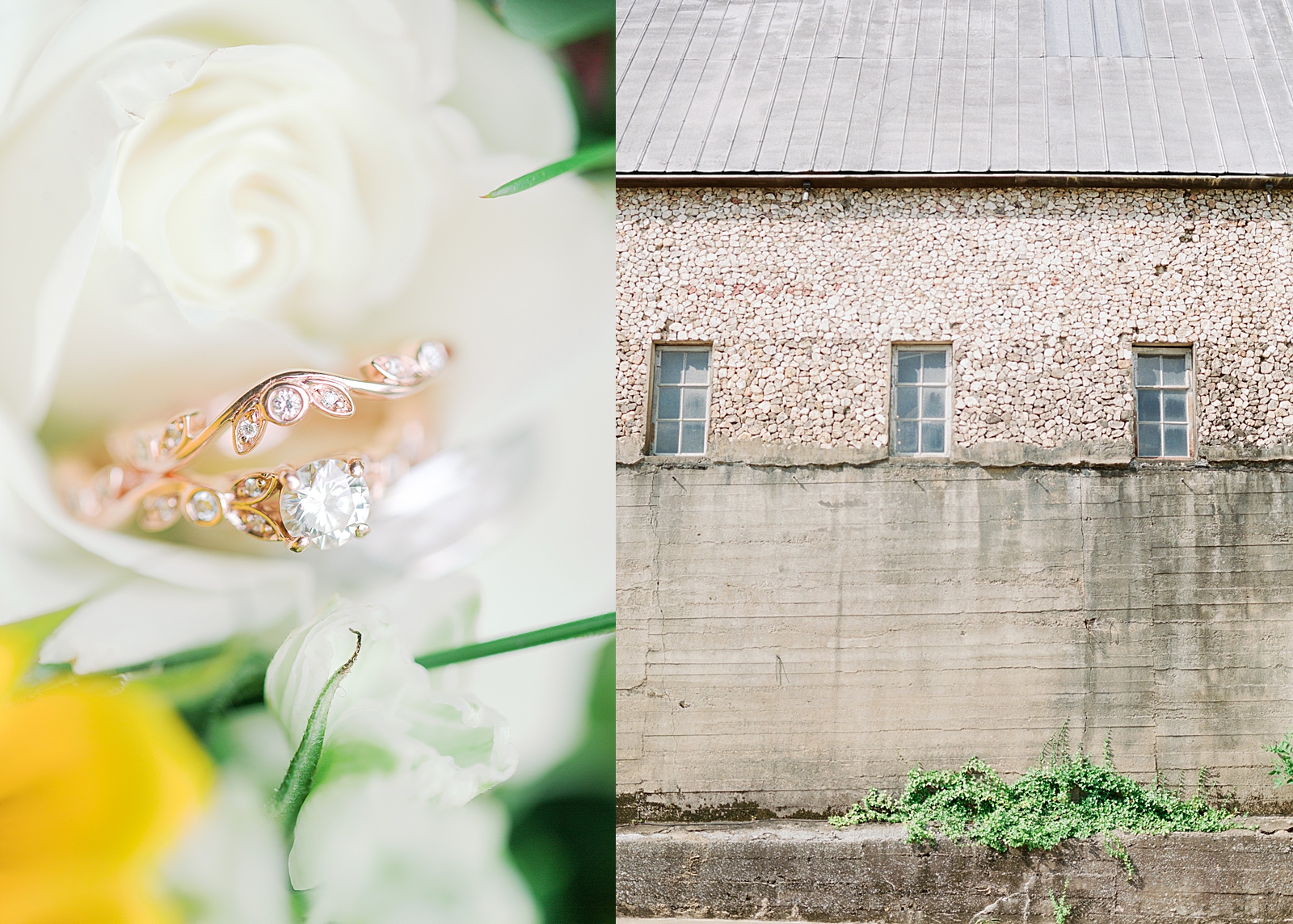 Black Fox Farms Garden Wedding Rings in white flower and Venue Building Photos