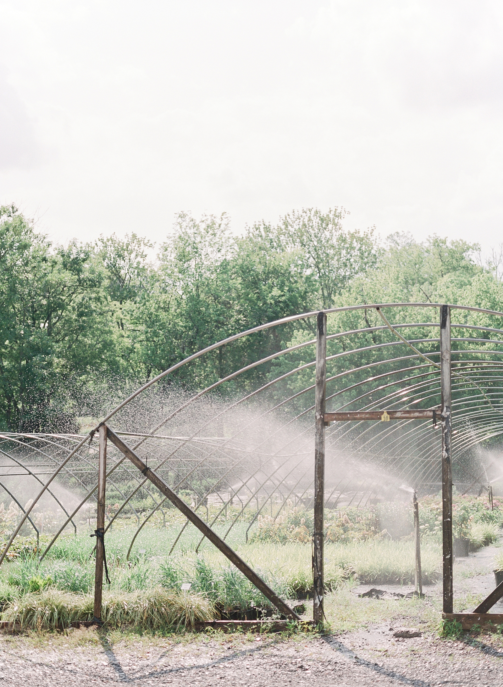 Black Fox Farms Garden Wedding Venue Sprinklers on in Greenhouses Photo