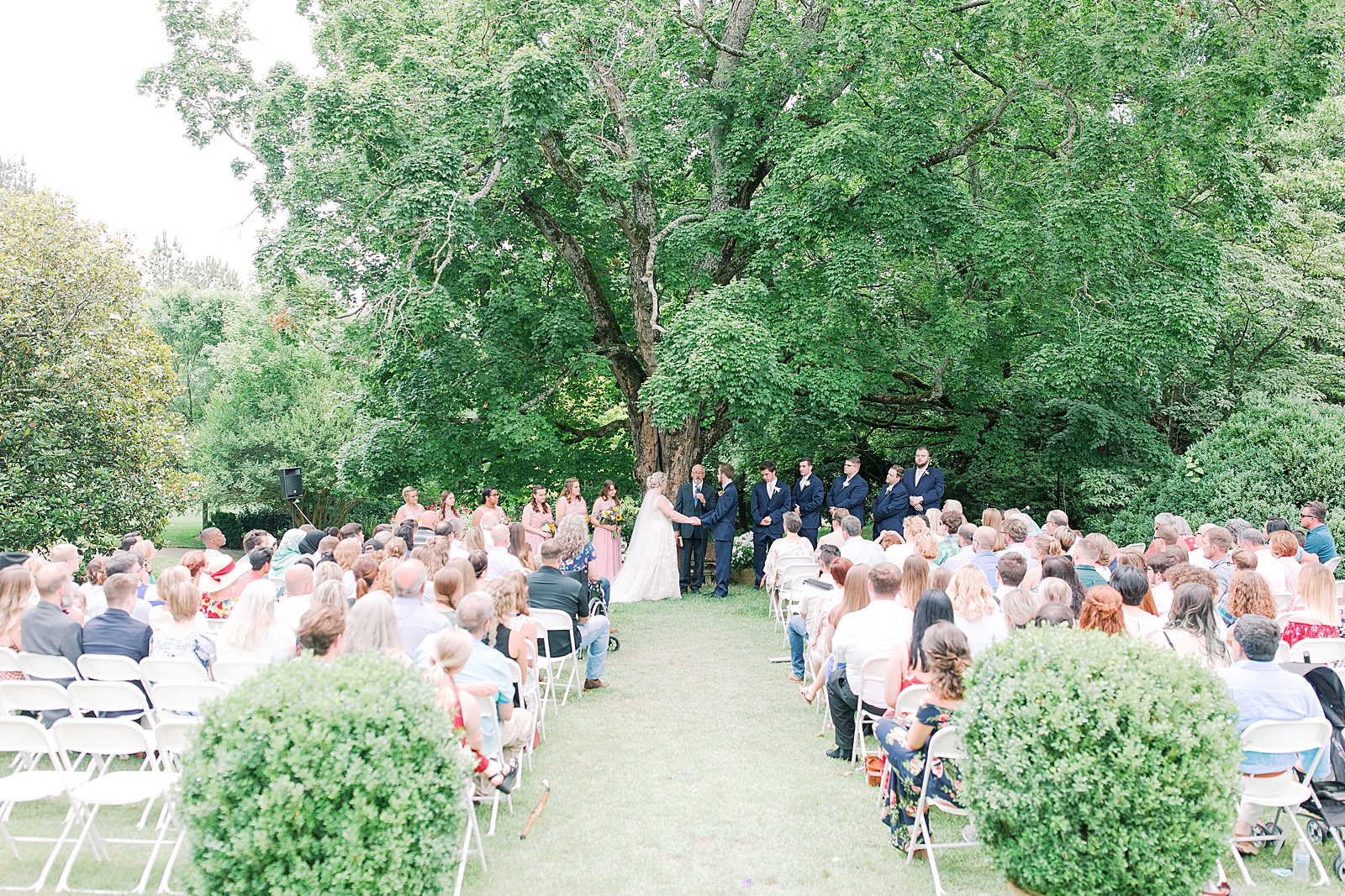 Black Fox Farms Garden Wedding Ceremony under Big Tree Photo