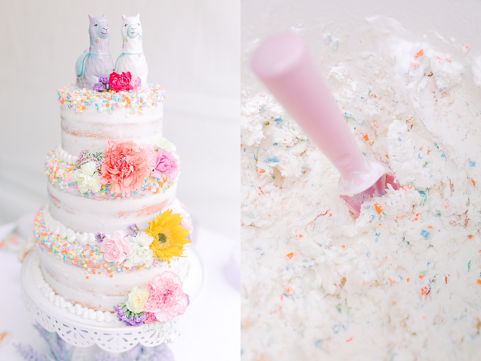Black Fox Farms Garden Wedding Reception Colorful cake with Sprinkles and Llamas on top and Sprinkle Ice Cream Photos
