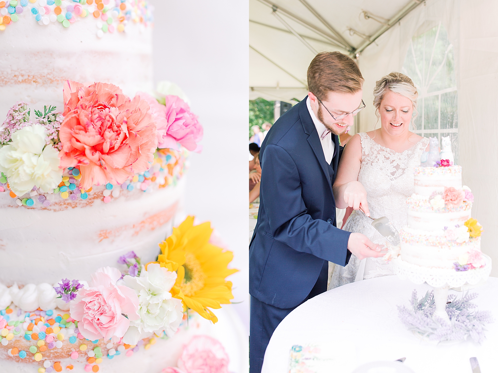 Black Fox Farms Garden Wedding Reception Colorful Cake and Couple Cutting Cake Photos