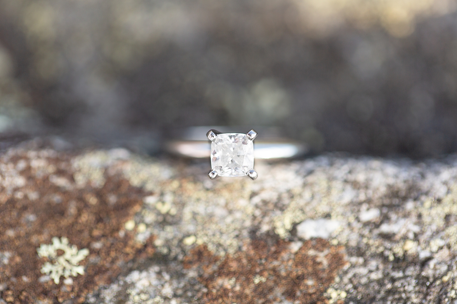 Craggy Gardens Engagement Ring Photo
