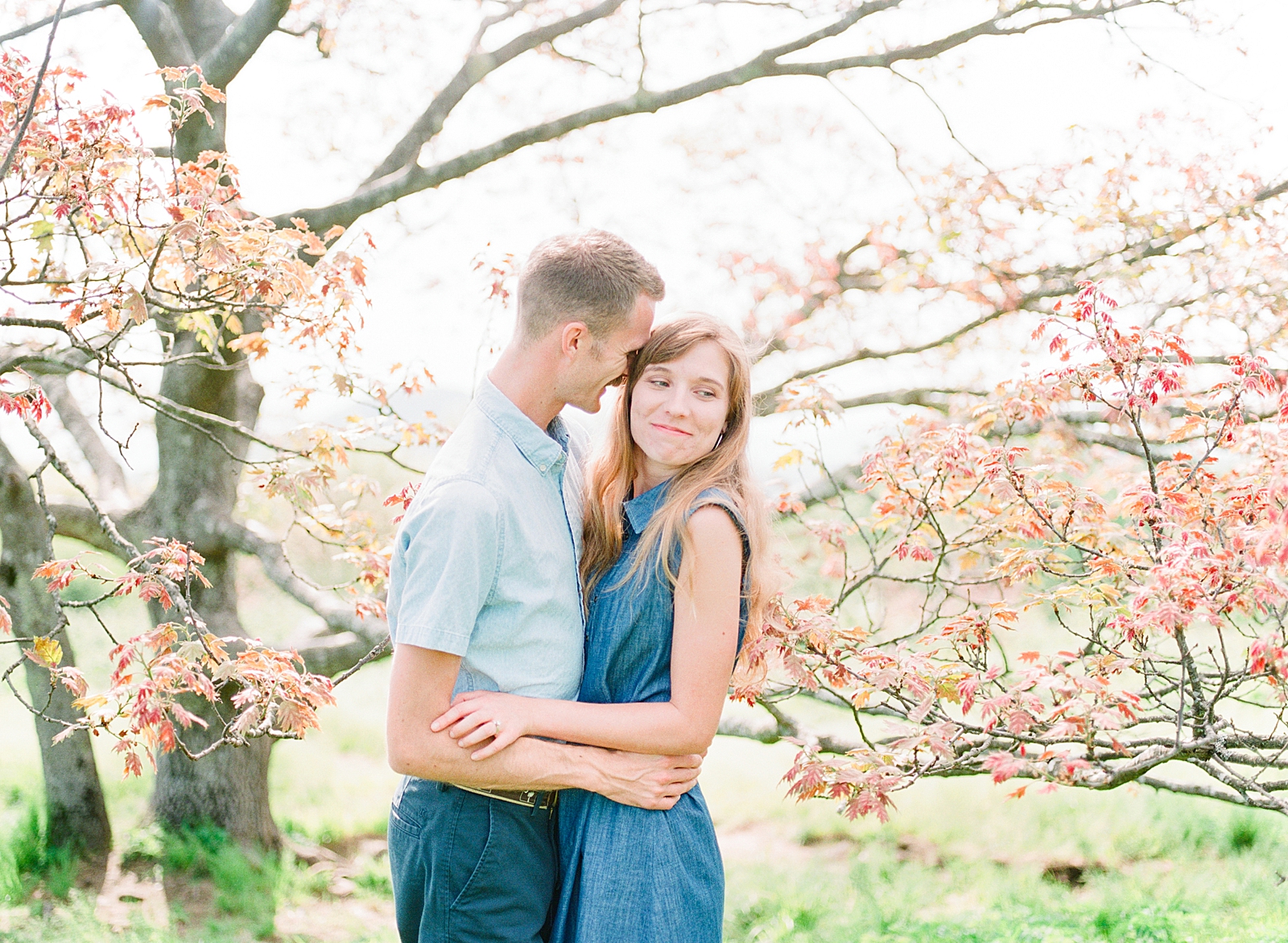 Craggy Gardens Engagement Couple Snuggling in Tree Photo