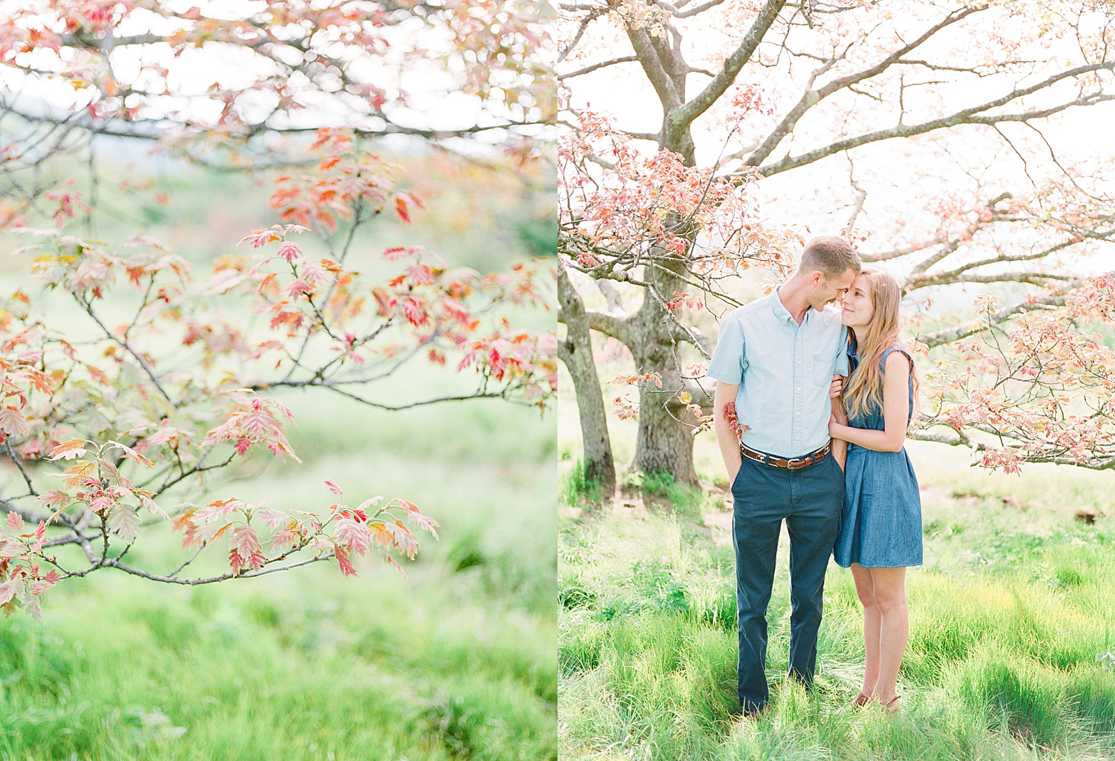 Craggy Gardens Engagement Couple Snuggling and Detail of Tree Photos