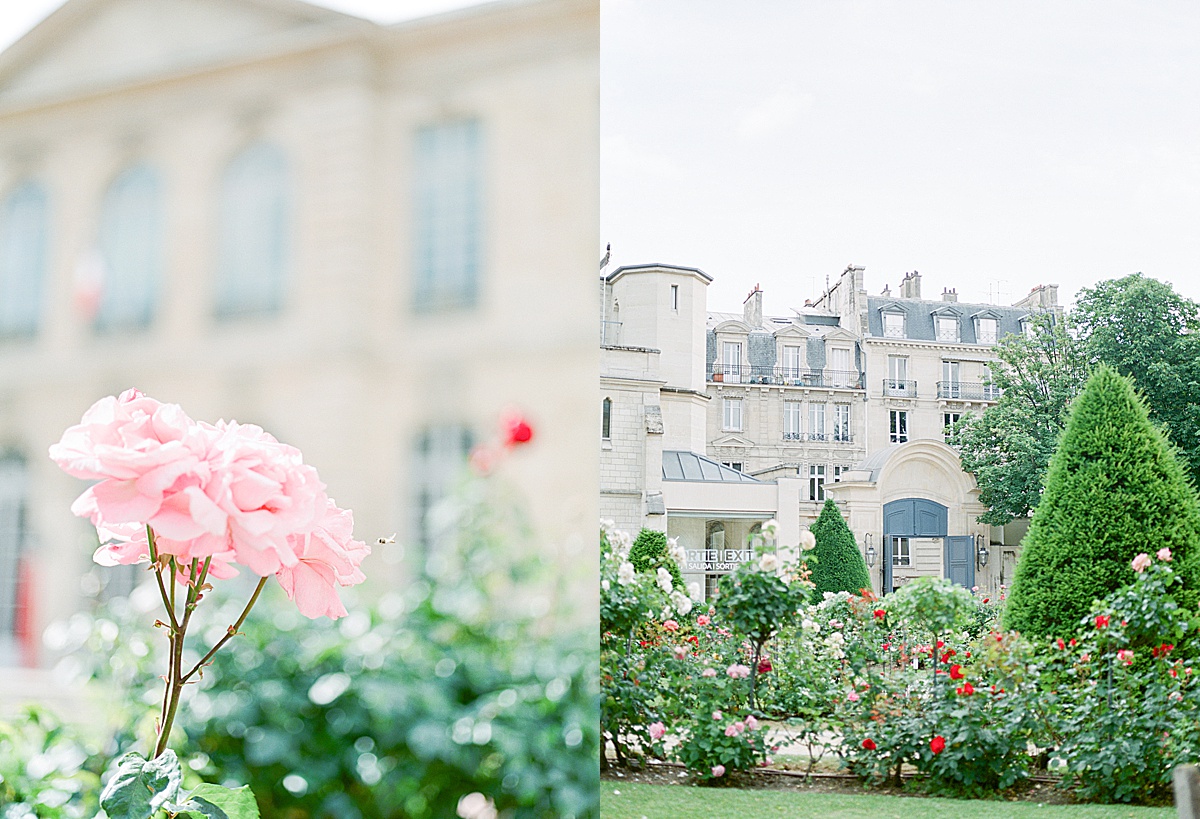 Musée Rodin Wedding Pink Rose Detail and Venue Gardens photos