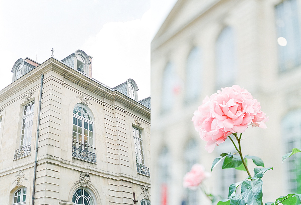 Musée Rodin Wedding Venue Details and Detail of Pink Rose Photos