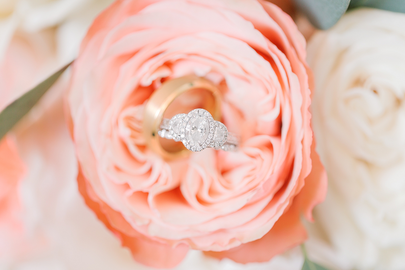 Winmock Wedding Rings in Flower Photo