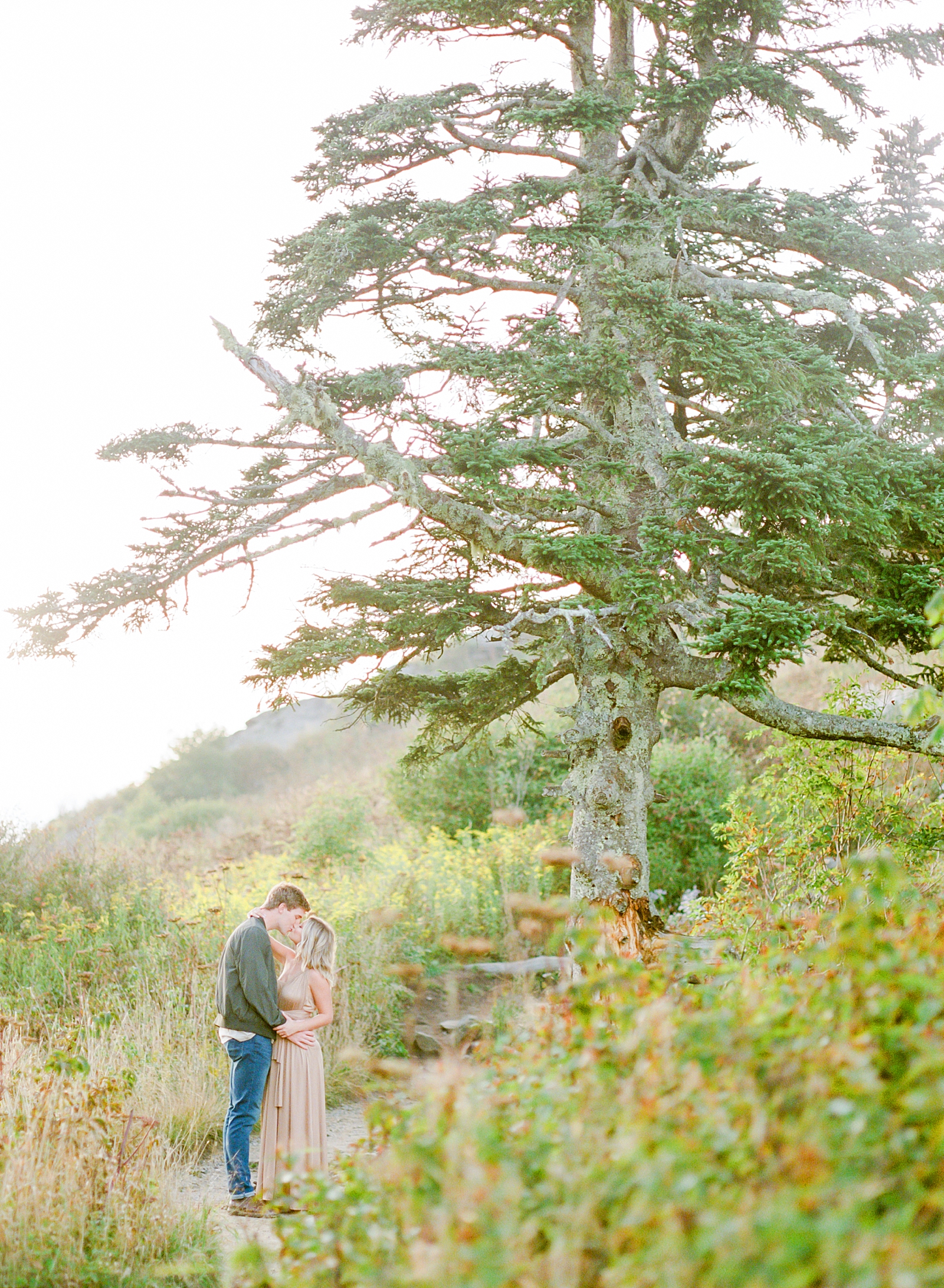 Asheville Mountaintop Session Couple Kissing Under Big Tree Photo