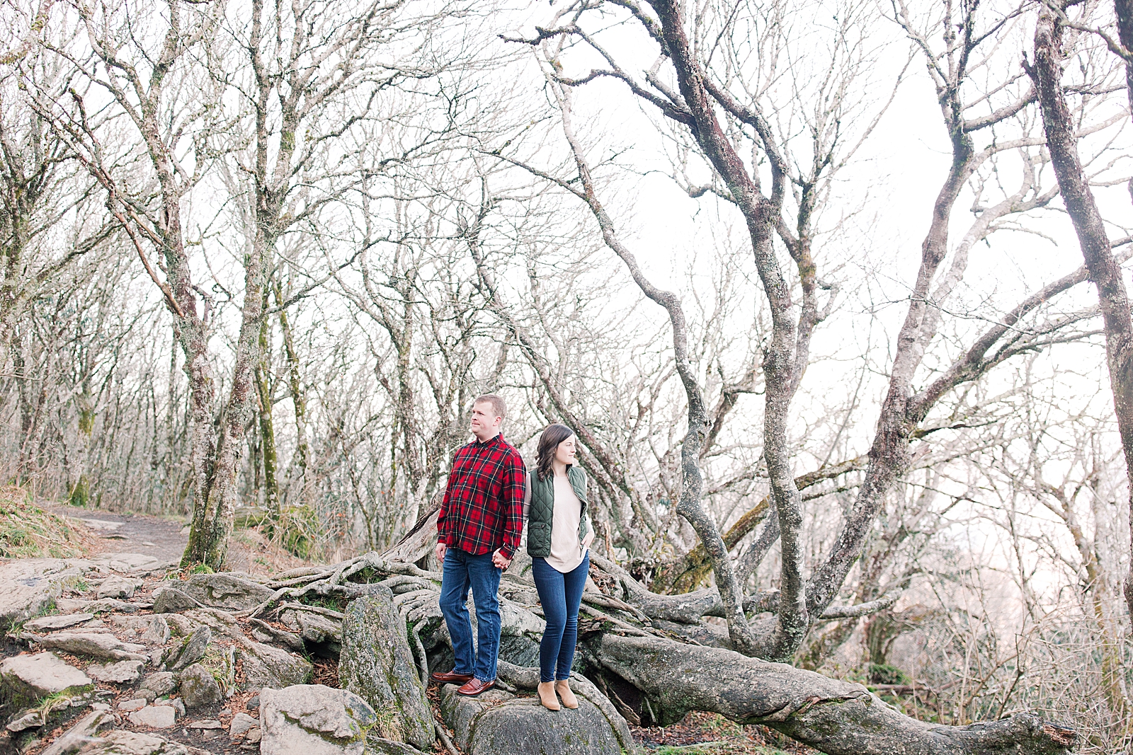 Craggy Gardens Trail Engagement Session Couple Holding Hands looking off Photo