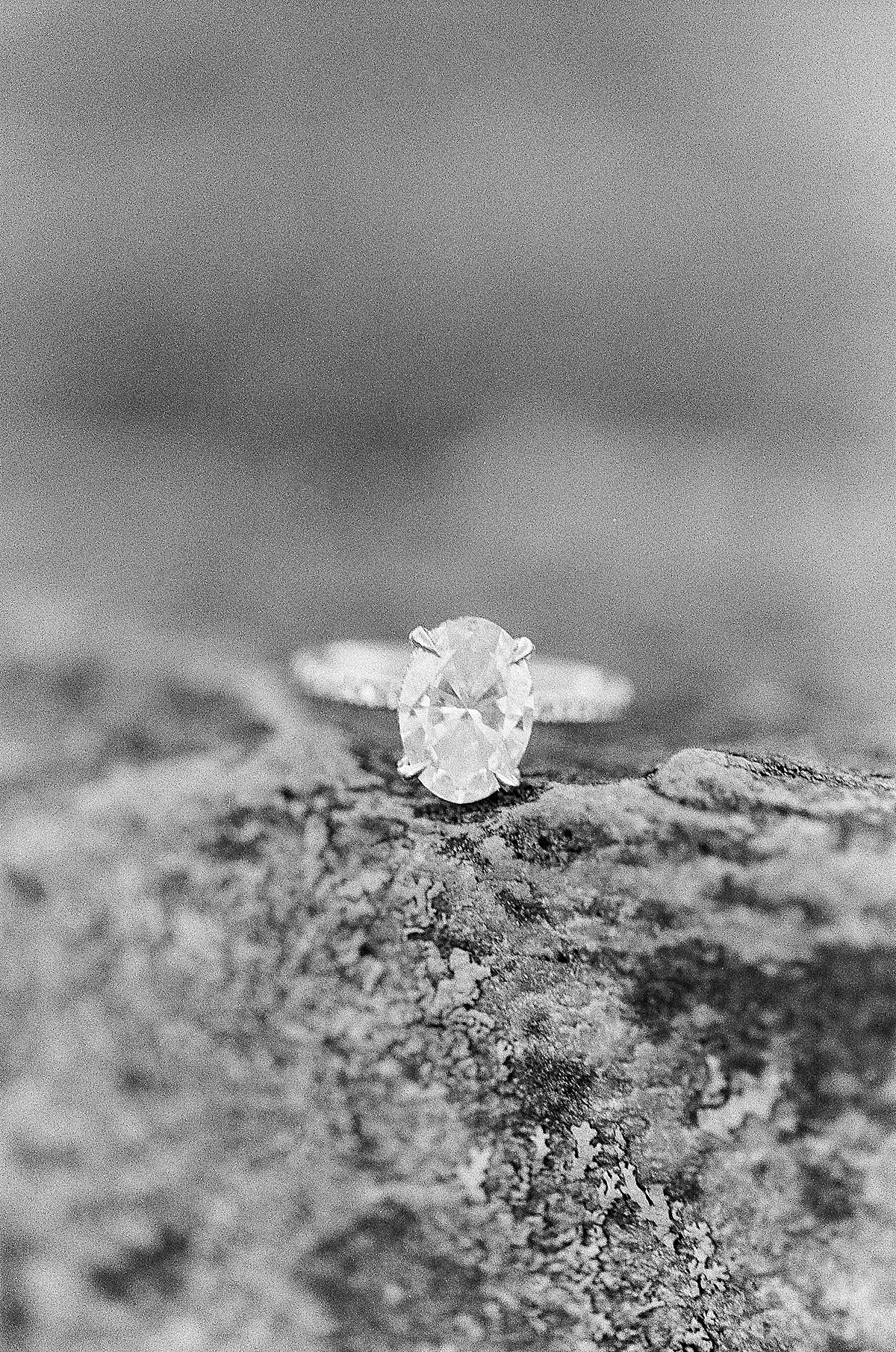 Craggy Gardens Engagement Grainy Black and White of Maddie's Ring Photo