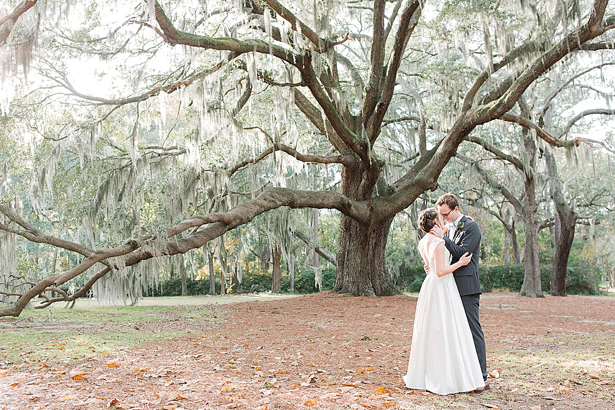 Couple Hugging and Kissing Under Big Oak Tree Photo 