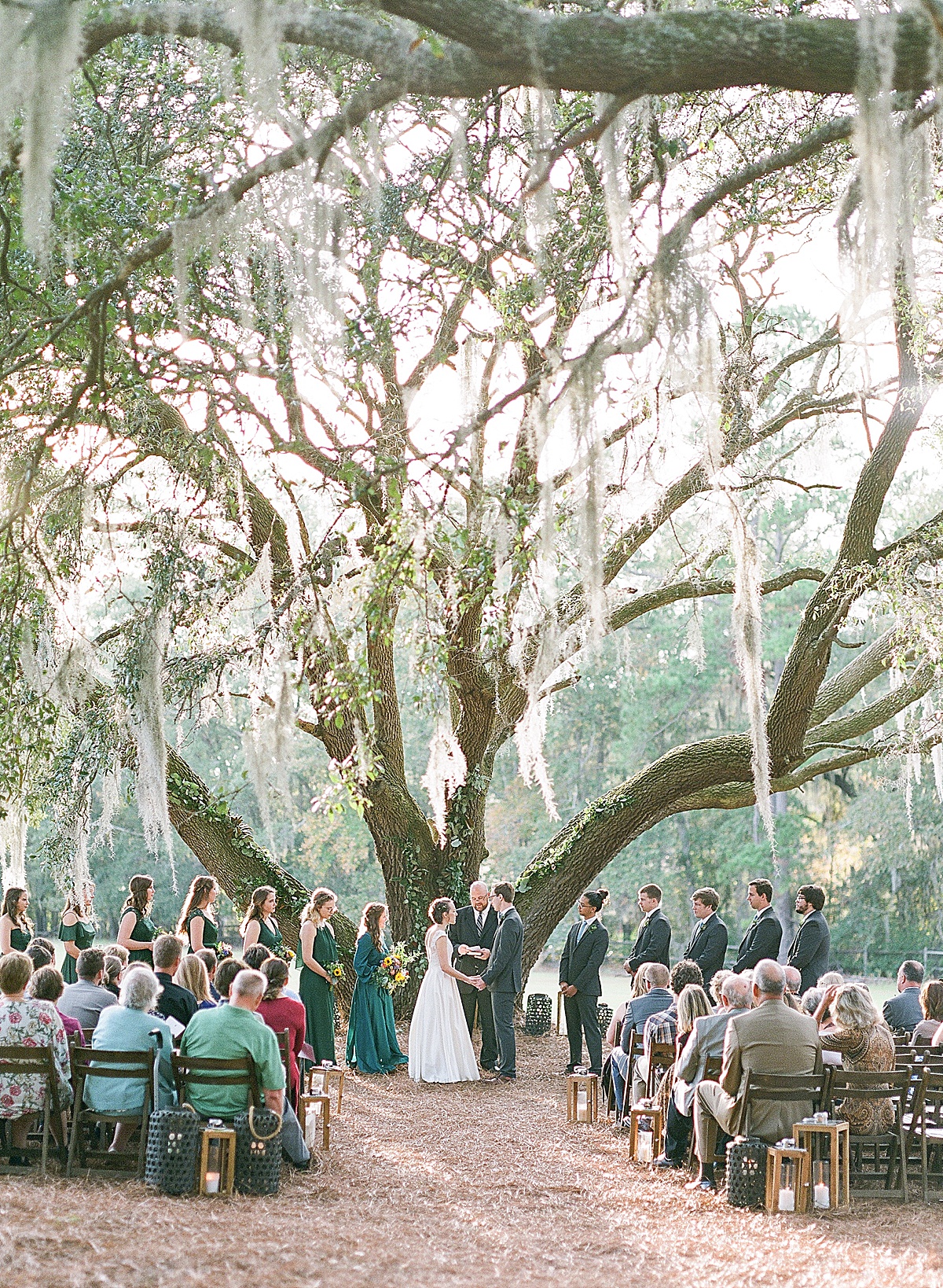 Bride and Groom Sharing Vows During Their Ceremony Under A Big Oak Tree Photo